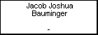 Jacob Joshua Bauminger
