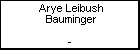Arye Leibush Bauminger