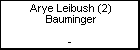 Arye Leibush (2) Bauminger