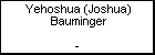 Yehoshua (Joshua) Bauminger